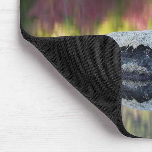 Felsen und Baumreflexion, Lilienteich, Weiß Mousepad (Ecke)