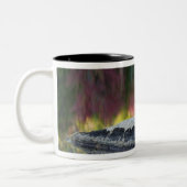 Felsen und Baumreflexion, Lilienteich, Weiß Zweifarbige Tasse (Links)