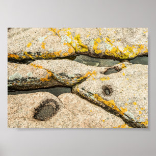 Felsen und Gezeitenpools - Naturschutzgebiet Maine Poster