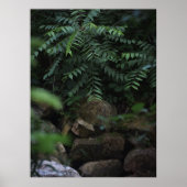 Felsen und Grünflächen Poster (Vorne)