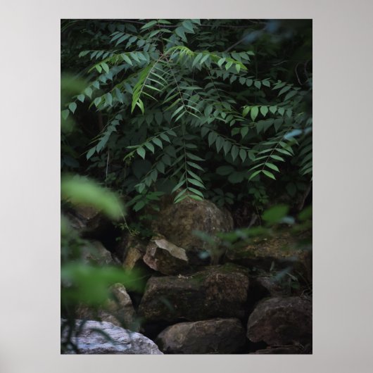 Felsen und Grünflächen Poster (Vorne)