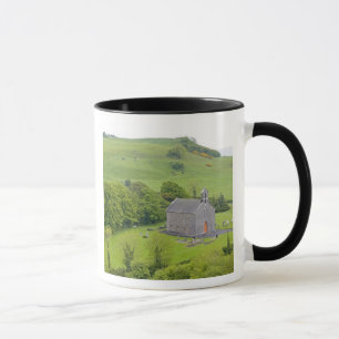 Felsen von Dunamase, Irland. Ansichten von und um Tasse