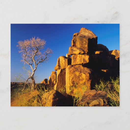 Felsenbildung und Baum, Riesenspielplatz Postkarte (Vorderseite)