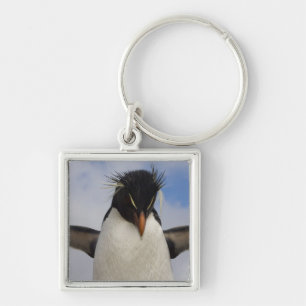 Felsenhüpper-Pinguin Eudyptes chrysocome Schlüsselanhänger