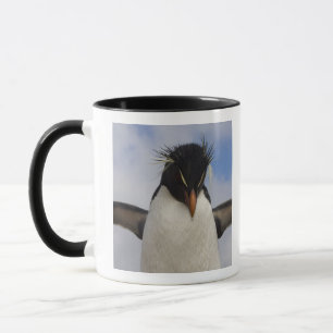 Felsenhüpper-Pinguin Eudyptes chrysocome Tasse