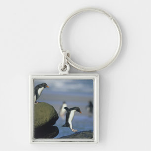 Felsenhüpper-Pinguine, Eudyptes chrysocome), Schlüsselanhänger