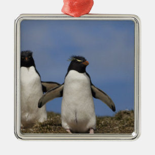 Felsenhüpper-Pinguine Eudyptes chrysocome Silbernes Ornament
