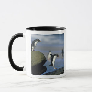 Felsenhüpper-Pinguine, Eudyptes chrysocome), Tasse
