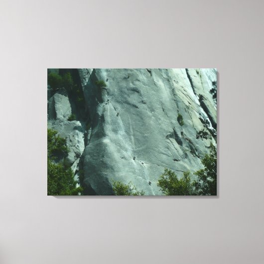 Felsenkletterer an El Capitan Leinwanddruck (Vorderseite)