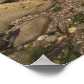 Felsenküste mit Motorboot Poster (Ecke)