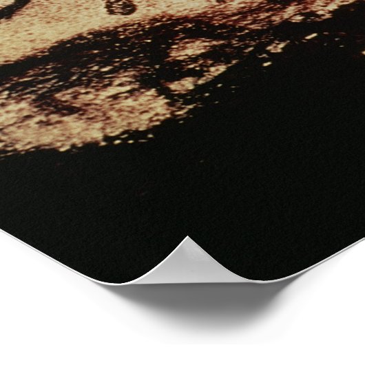 Felsenmalerei einer springenden Kuh Poster (Ecke)