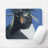 Felsenpinguin (Eudyptes chrysocome) Mousepad (Mit Mouse)