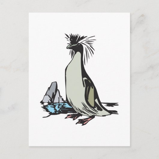 Felsenpinguin Postkarte (Vorderseite)