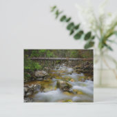 Felsenwaldbucht Postkarte (Stehend Vorderseite)