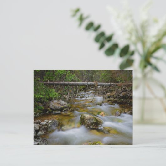 Felsenwaldbucht Postkarte (Stehend Vorderseite)