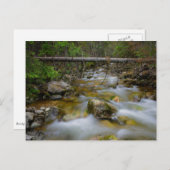 Felsenwaldbucht Postkarte (Vorne/Hinten)