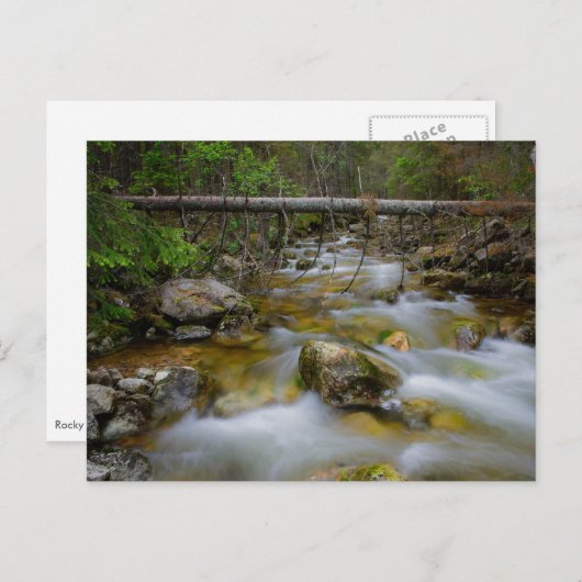 Felsenwaldbucht Postkarte (Vorne/Hinten)