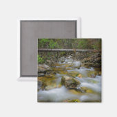 Felsenwaldcreme-Magnet Magnet (Vorderseite/Rückseite)