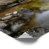 Felsenwaldkrebs Poster (Ecke)