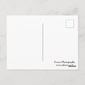 Felsenwand und Wälder auf dem Burggraben Postkarte (Rückseite)