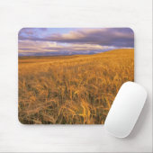 Felsfeld der reifen Gerste entlang des Felsens Mousepad (Mit Mouse)