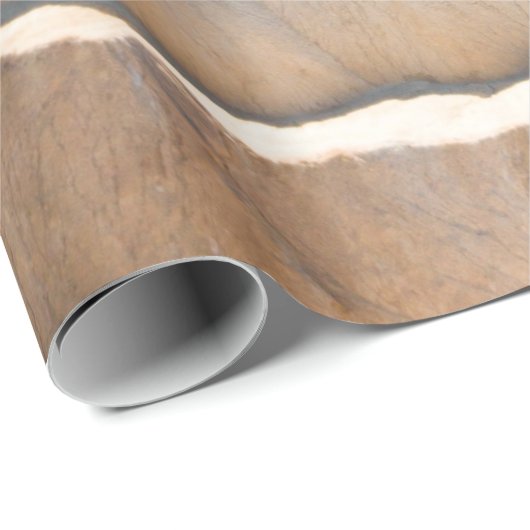 Felsformation Geschenkpapier (Rolleneckpunkt)