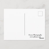 Felsformationen und -bereiche rund um Rote Felsen Postkarte (Rückseite)