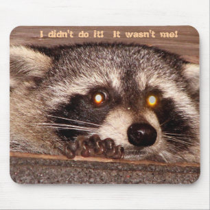 Felsig, tat ich es nicht!  Es war nicht ich! Mousepad