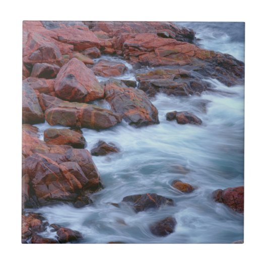 Felsige Küstenlinie mit Wasser, Kanada Fliese (Vorderseite)