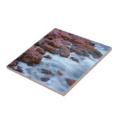 Felsige Küstenlinie mit Wasser, Kanada Fliese (Seite)
