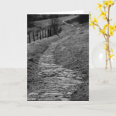 Felsige Straßen-Gruß-Karte Karte (Gelbe Blume)