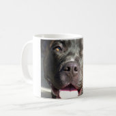 Felsige Tasse (Vorderseite Links)