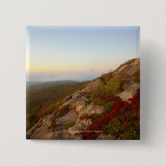 Felsiger Abhang, rote Blumen, Acadia-Nationalpark Button (Vorderseite)