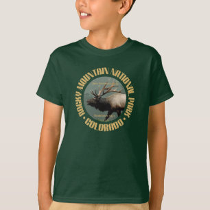 Felsiger Berg NP T-Shirt