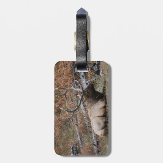 Felsiger Gebirgselch-Gepäckanhänger Gepäckanhänger (Rückseite vertikal)