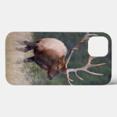 Felsiger Gebirgselche Case-Mate iPhone Hülle (Rückseite (Horizontal))