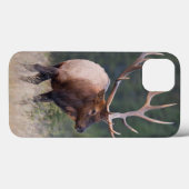 Felsiger Gebirgselche Case-Mate iPhone Hülle (Rückseite (Horizontal))