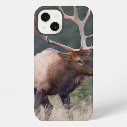 Felsiger Gebirgselche iPhone Hülle (Rückseite)
