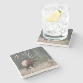 Felsiger Gebirgselche Steinuntersetzer (Seitenansicht)