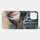 Felsiger Gebirgselche Stiers Case-Mate iPhone Hülle (Rückseite (Horizontal))