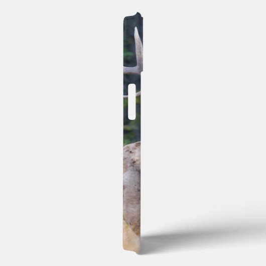 Felsiger Gebirgselche Stiers Case-Mate iPhone Hülle (Rückseite / Rechts)