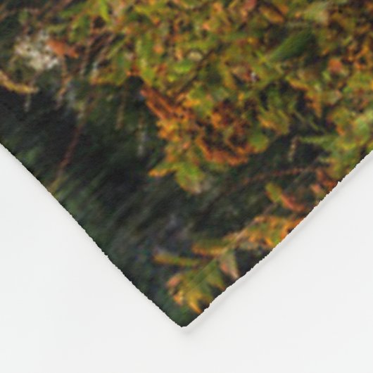 Felsiger Gebirgsziege Fleecedecke (Ecke)