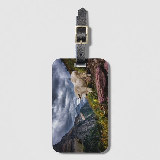 Felsiger Gebirgsziege Gepäckanhänger (Vorderseite Vertikal)