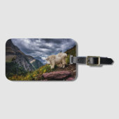 Felsiger Gebirgsziege Gepäckanhänger (Vorderseite (Horizontal))