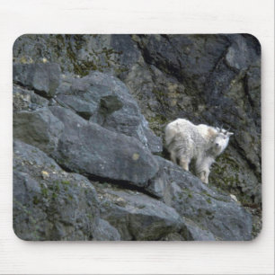 Felsiger Gebirgsziege in den Felsen Mousepad