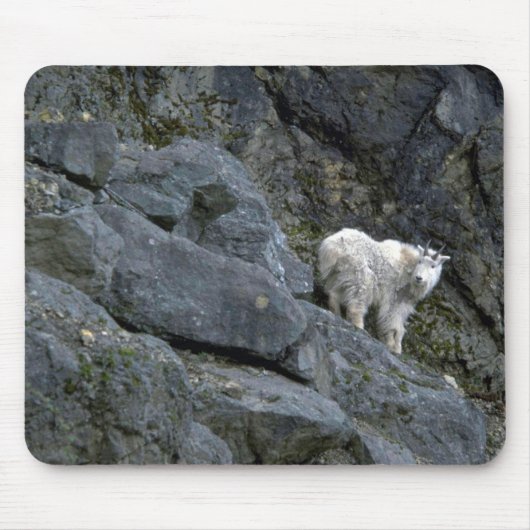 Felsiger Gebirgsziege in den Felsen Mousepad (Vorne)