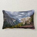 Felsiger Gebirgsziege Lendenkissen<br><div class="desc">Dieses Foto kennzeichnet eine felsiger Gebirgsziege vor Bearhat Berg im Gletscher-Nationalpark,  Montana.</div>