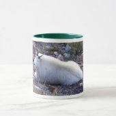 Felsiger Gebirgsziege Tasse (Zentrum)