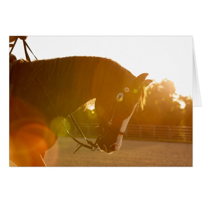 Felsiges Lenken in den Sunbeams (Vorderseite (Horizontal))