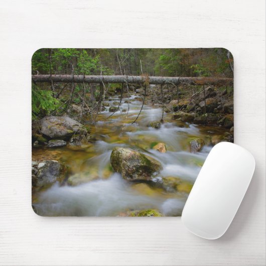 Felsiges Waldnebenfluß mousepad (Mit Mouse)